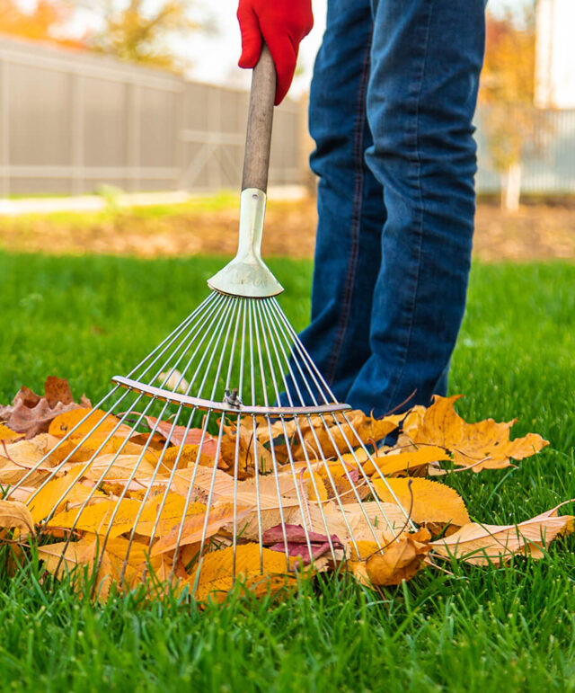 Elektrischer Laubhäcksler Für Den Garten, 2500 W  Produktbild-Vorschau 5